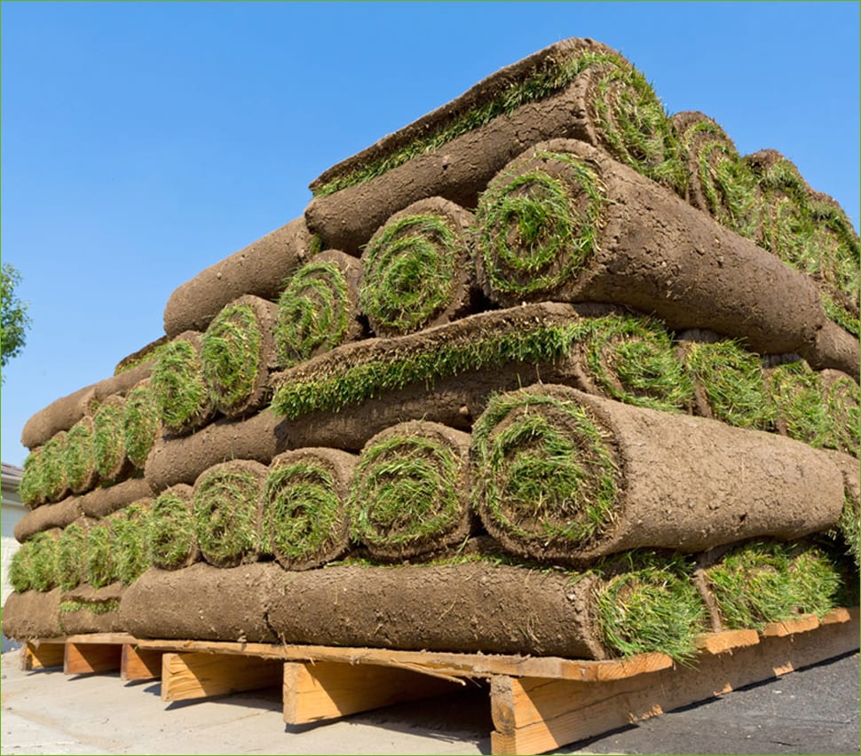 rowe gardening services