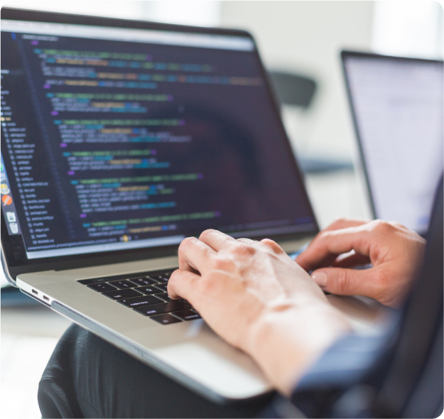 Custom Web Development