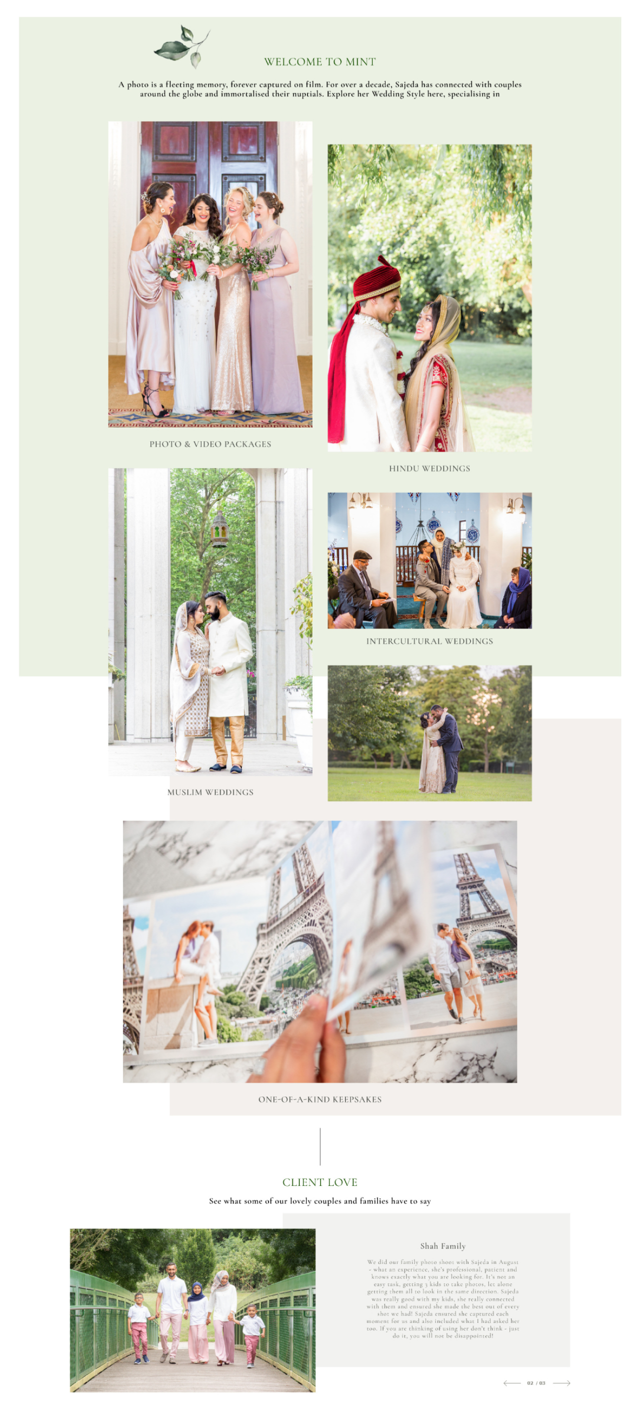 Mint website view 2